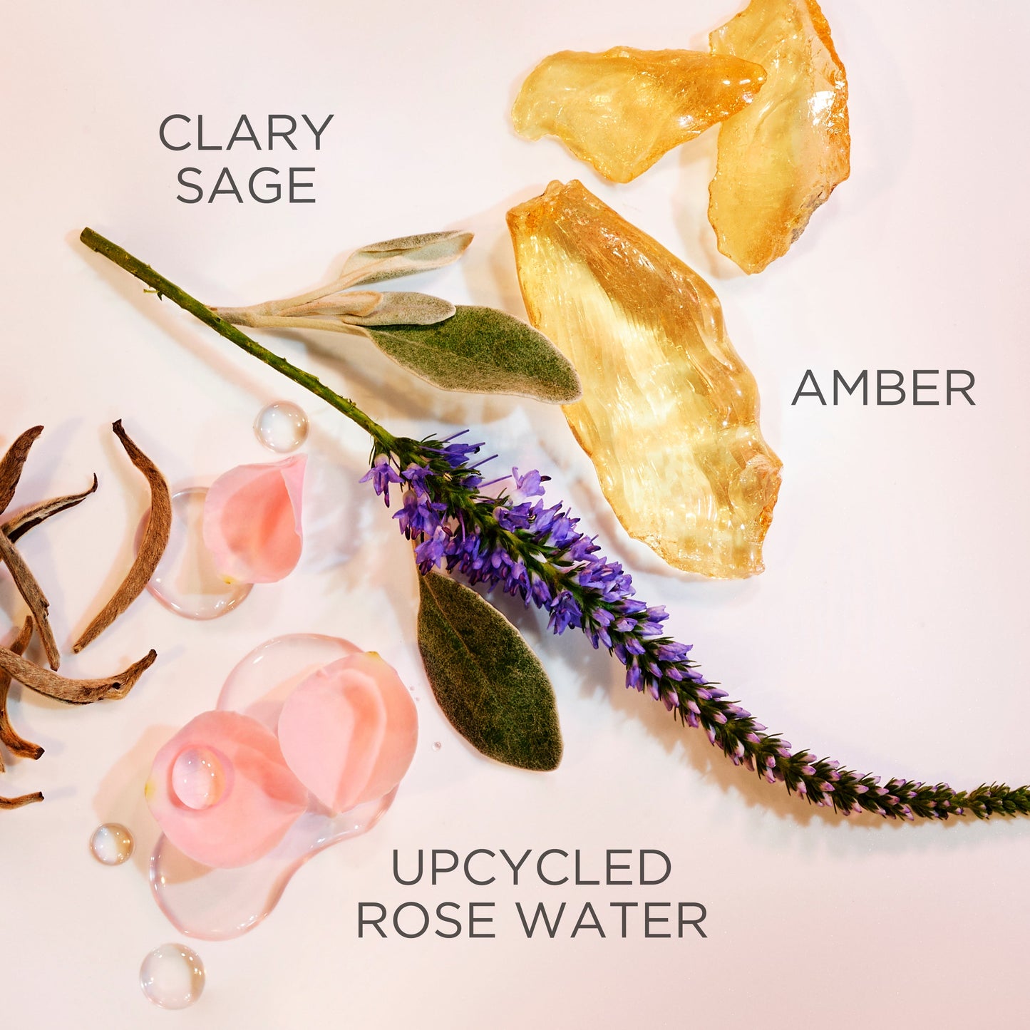 Elizabeth Arden White Tea EDP 100ml