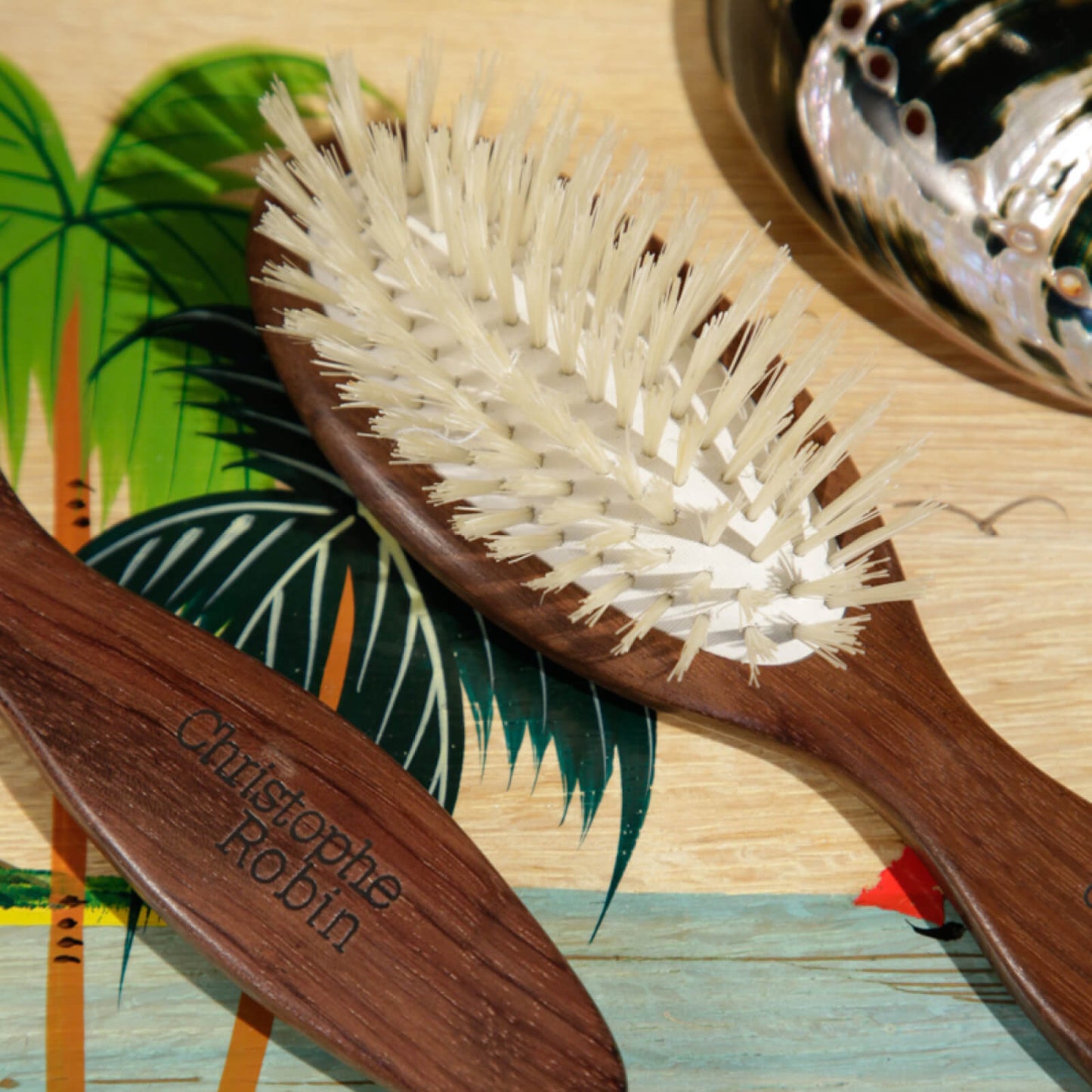 Christophe Robin Travel Hair Brush