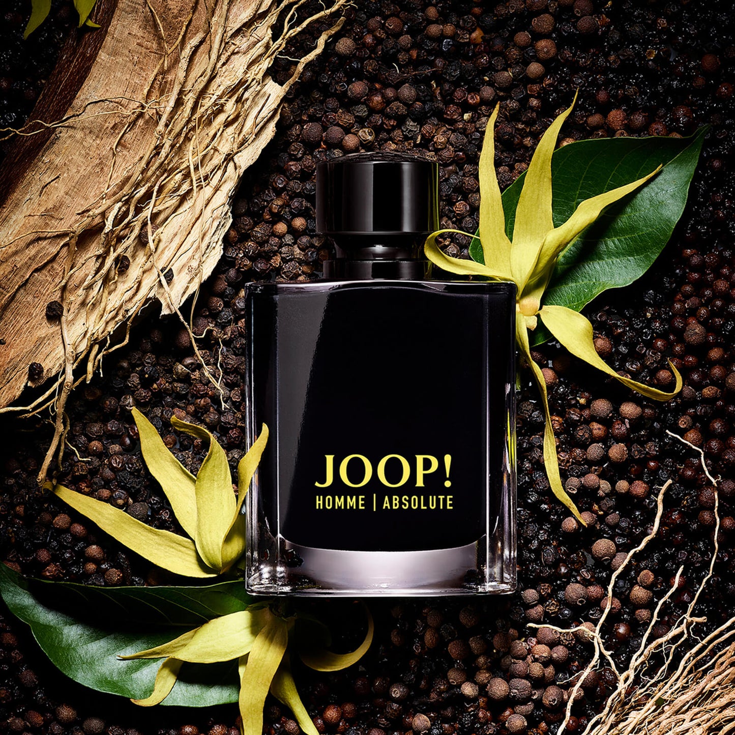 JOOP! Homme Absolute for Him Eau de Parfum 120ml