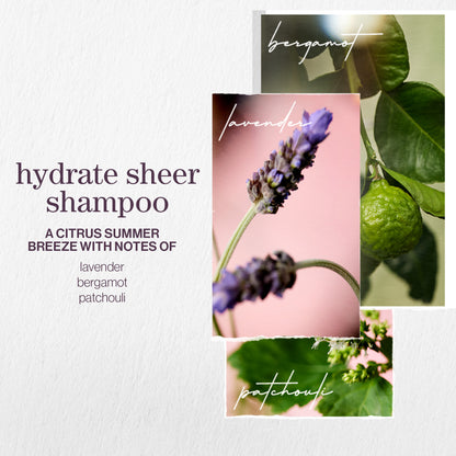 Pureology Hydrate Sheer Shampoo 266ml