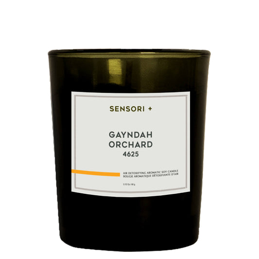 SENSORI+ Air Detoxifying Aromatic Soy Candle - Gayndah Orchard 60g