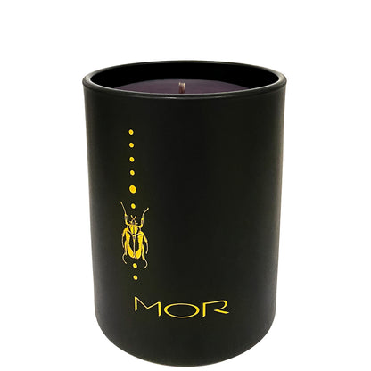 MOR Lady Damselfly Fragrant Candle Toasted Marshmallow and Spice 250g