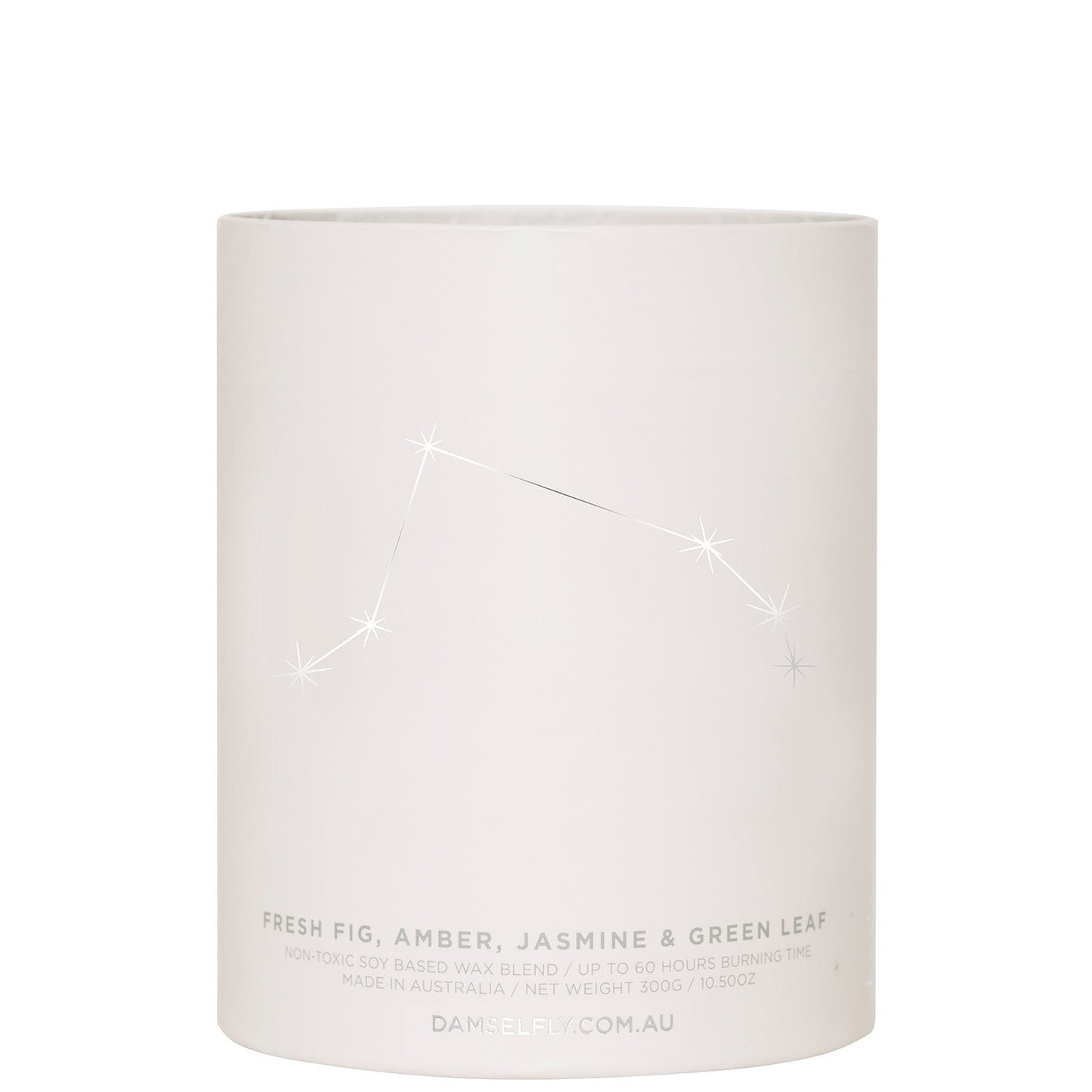 Damselfly Aquarius Scented Candle - 300g
