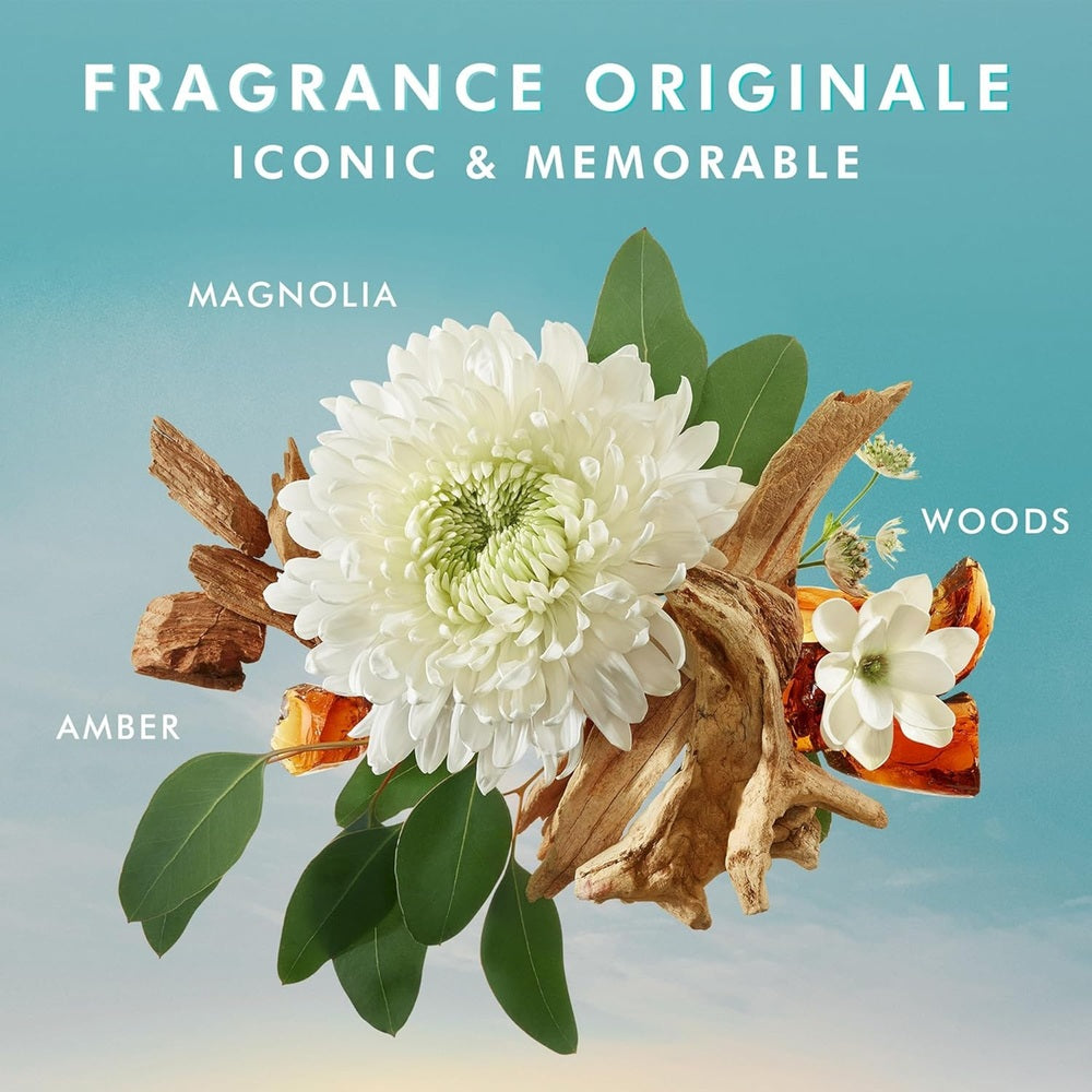 Moroccanoil Original Treatment + Bonus Handwash - Limited Edition