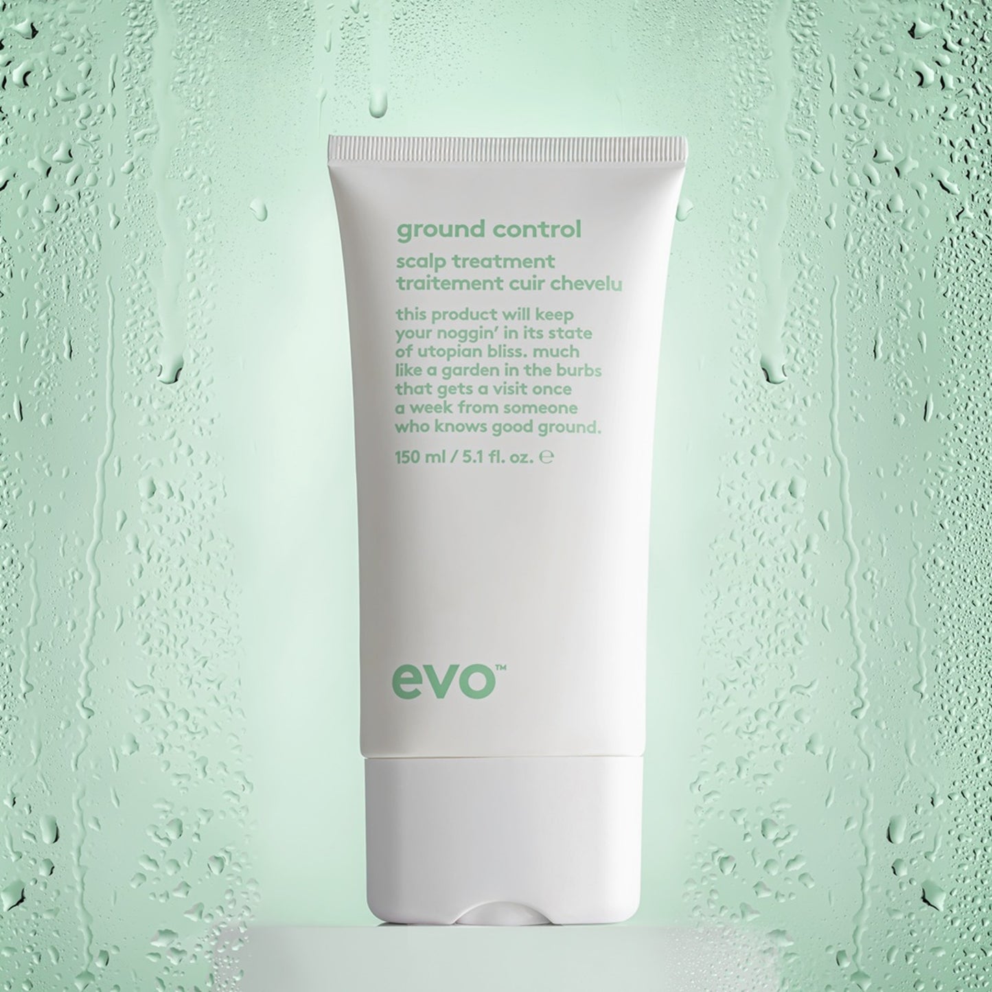 evo ground control scalp treatment 150ml