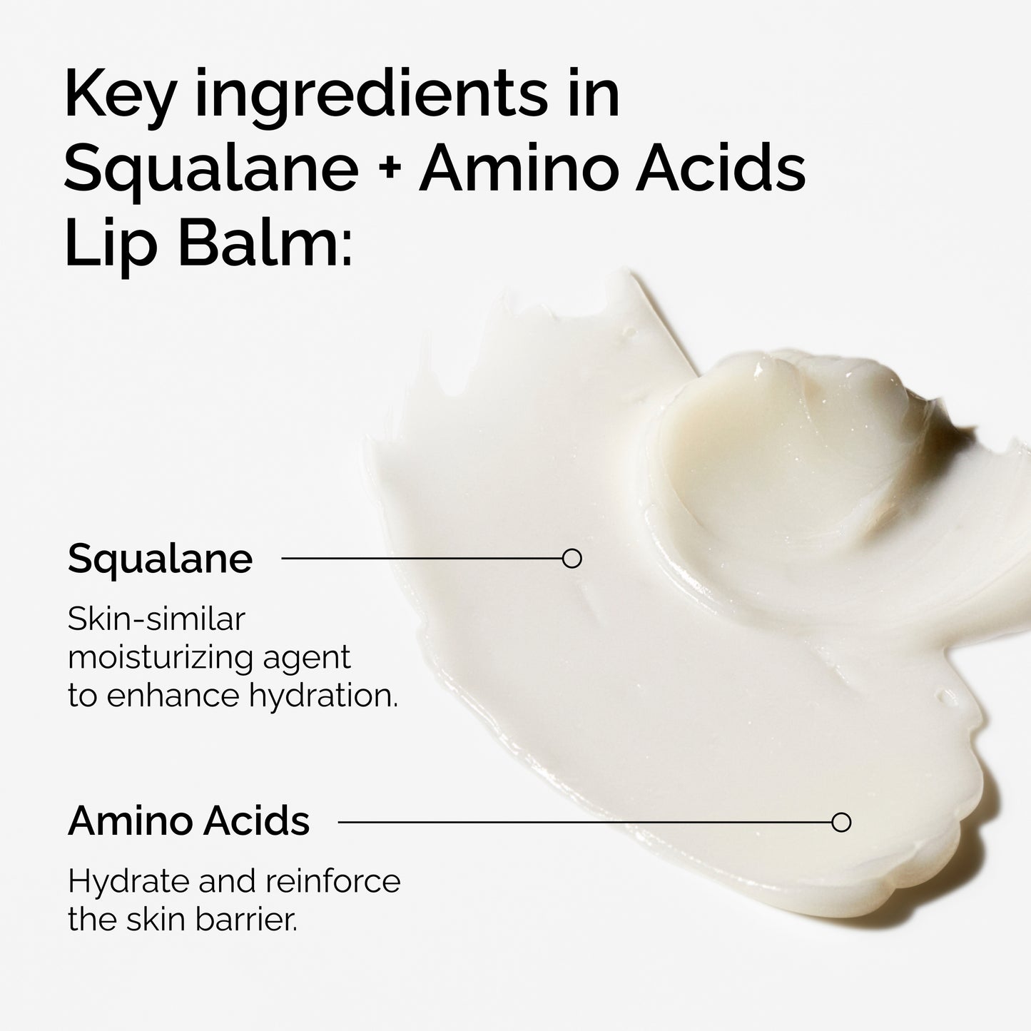 The Ordinary Squalane + Amino Acids Lip Balm 15ml