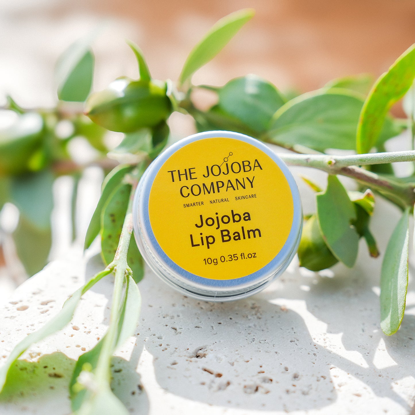The Jojoba Company Jojoba Lip Balm 10g