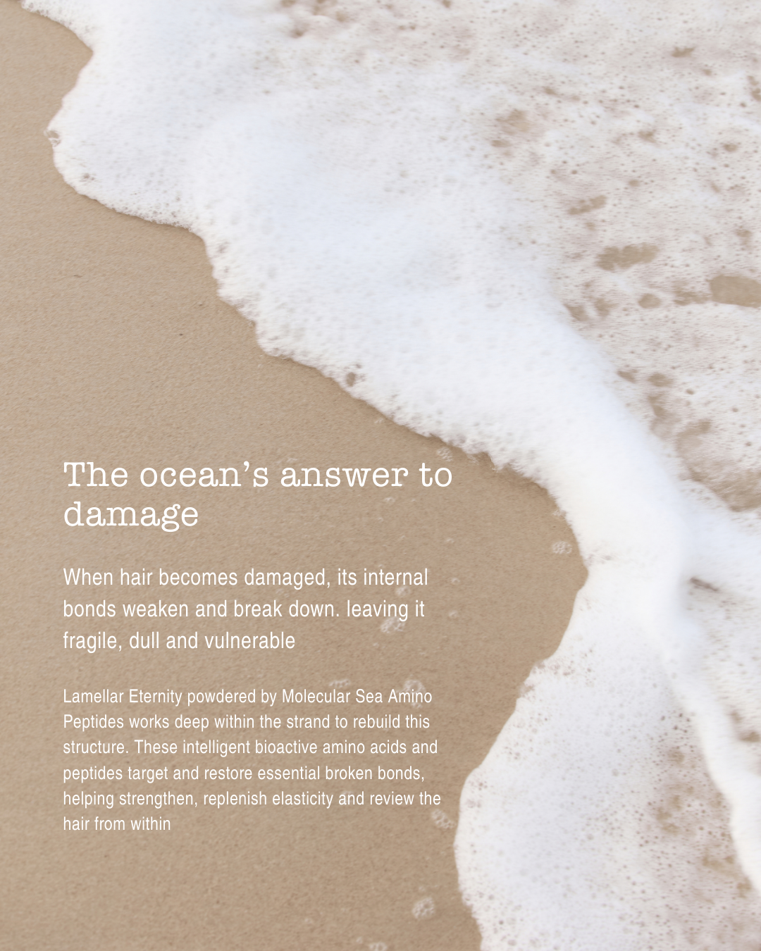 Pure Lamellar Eternity Bio-Peptide Repair Conditioner 240ml