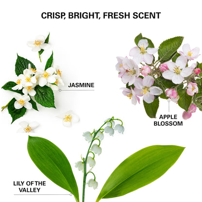 Colow Wow Insta-Wow Dry Shampoo 171ml