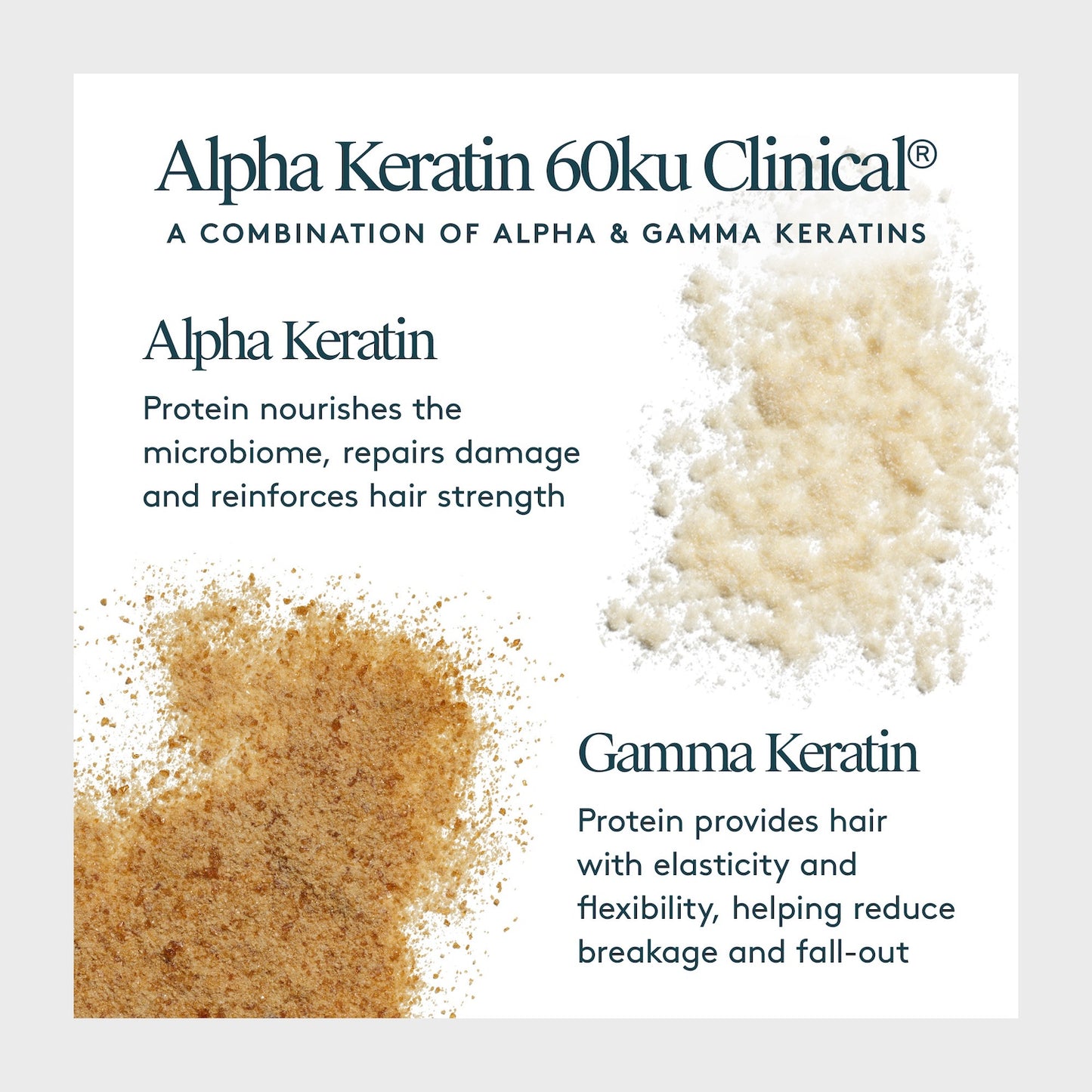 Virtue Flourish Hair Rejuvenation Treatment Kit (Phyto-Follicle Nutrient) - Travel Size (30 day)