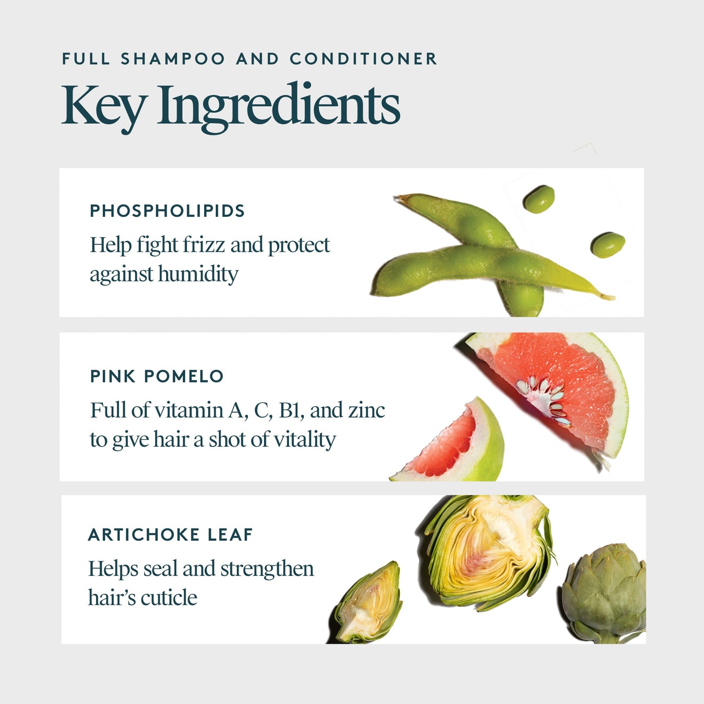 Virtue Jumbo Size Full Shampoo & Conditioner Duo