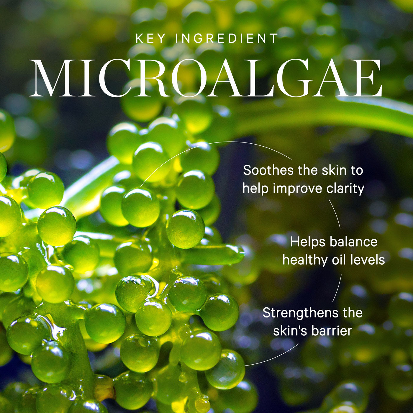 KORA Organics Active Algae Minty Mist 100mL