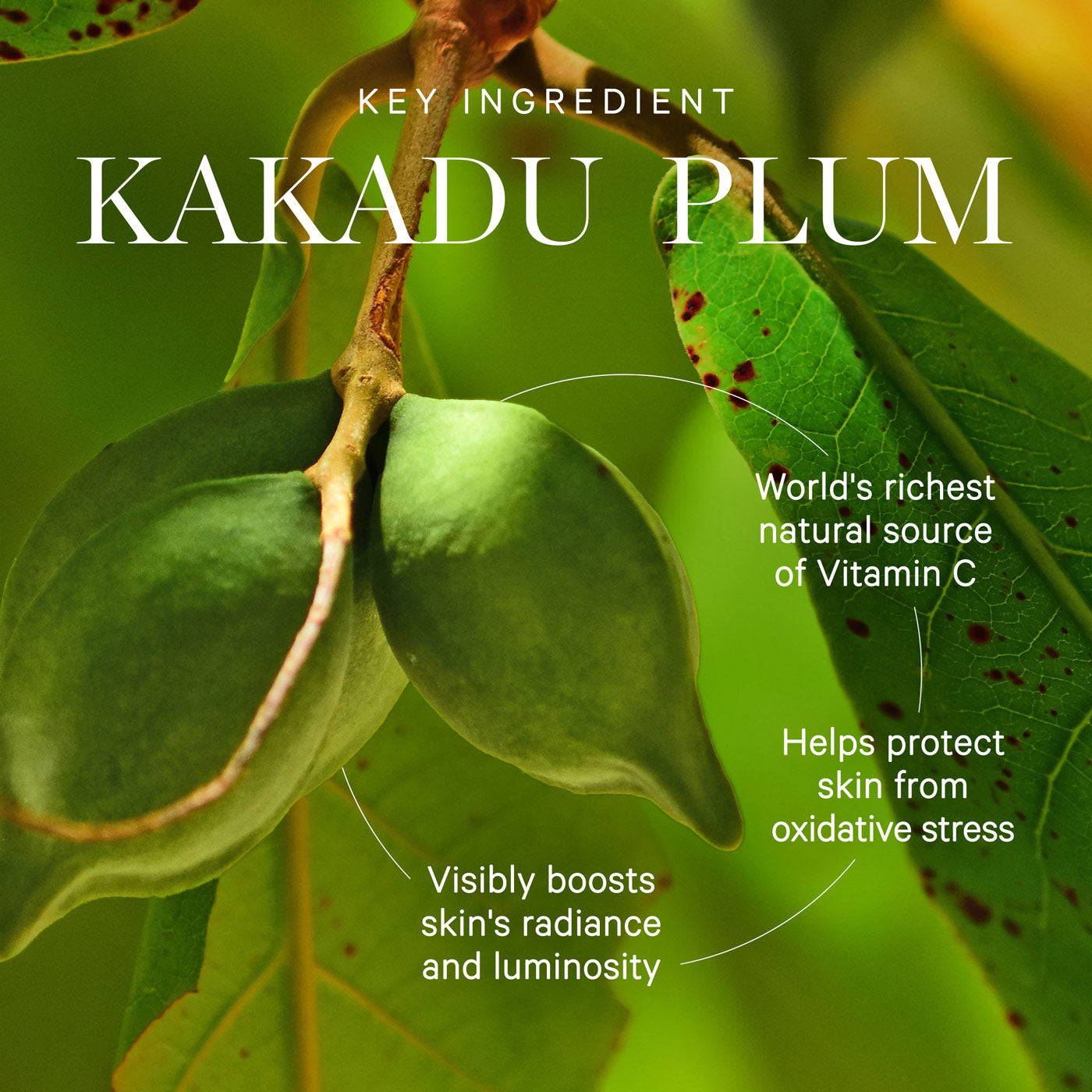 KORA Organics Kakadu Plum Vitamin C Serum 30ml