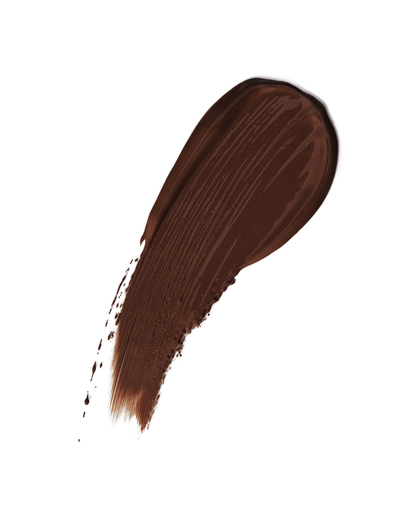 Napoleon Perdis Camera Finish Concealer 4ml