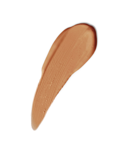 Napoleon Perdis Camera Finish Concealer 4ml