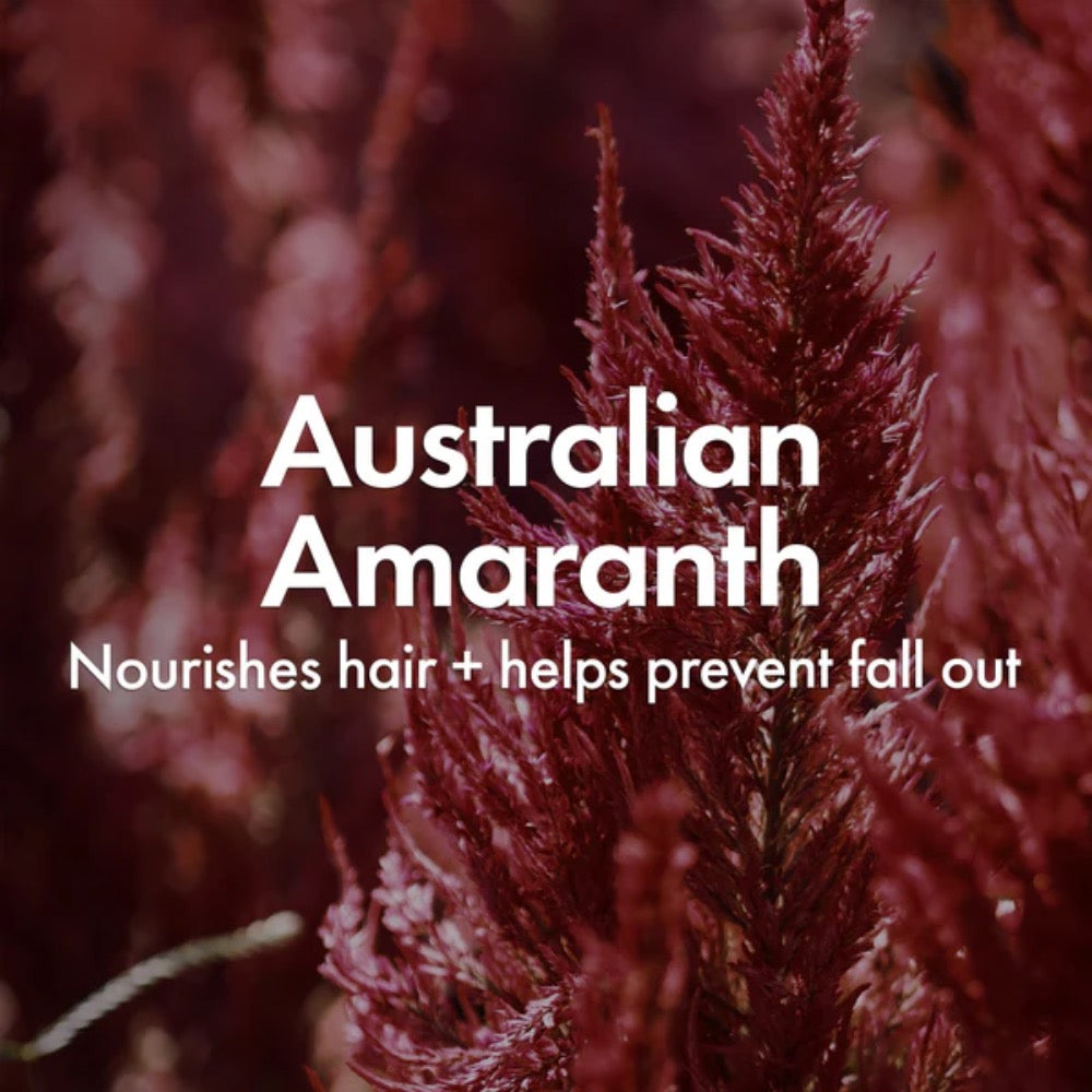 BondiBoost Thickening Therapy Shampoo 500ml