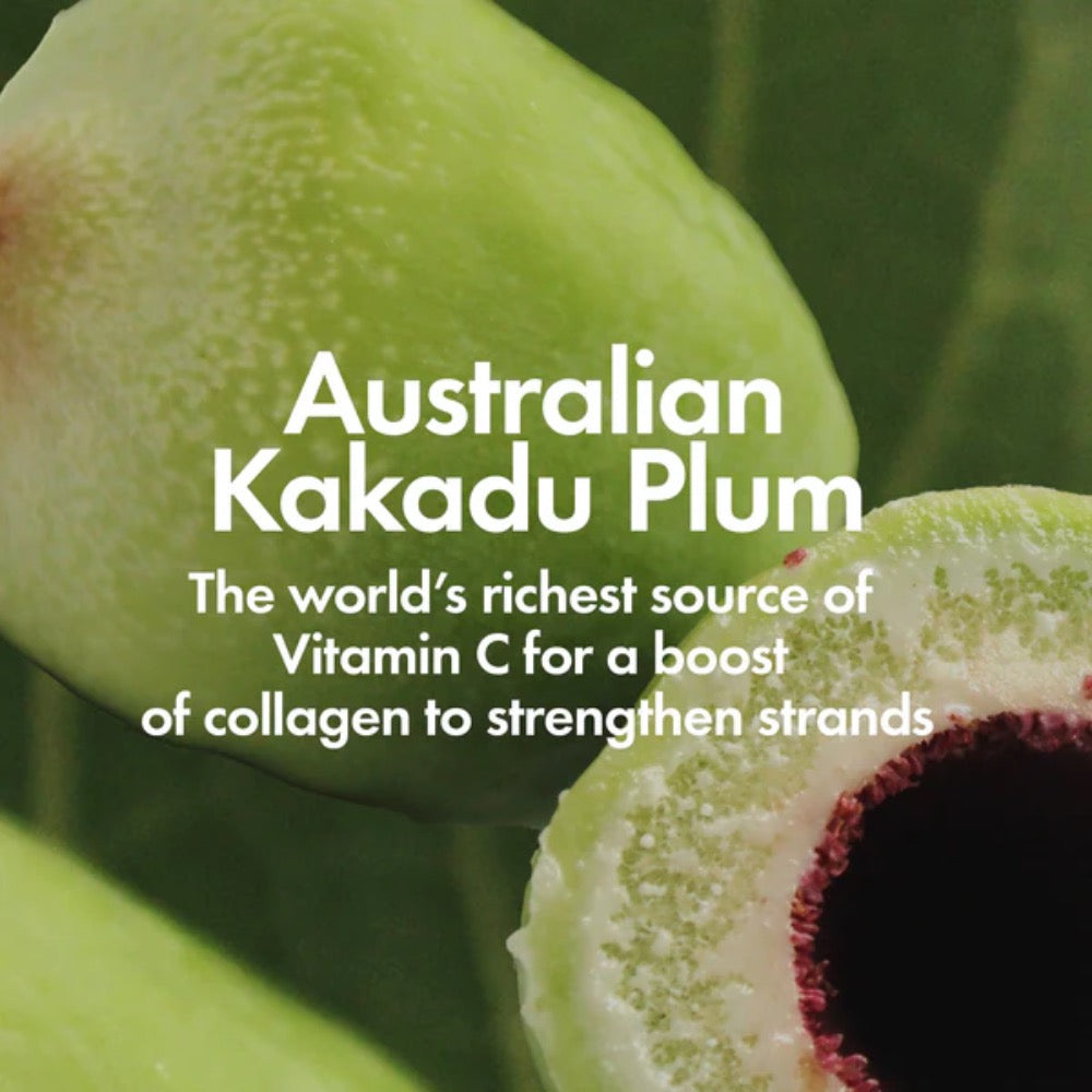 BondiBoost Anti Frizz Shampoo 500ml