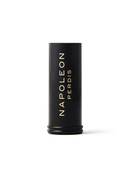 Napoleon Perdis Foundation Stick 14g (Various Shades)
