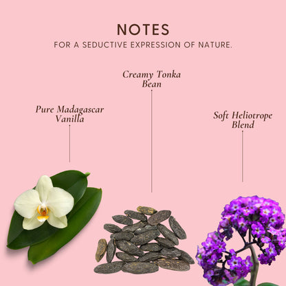 Lavanila  The Healthy Deodorant Pure Vanilla Mini 25g