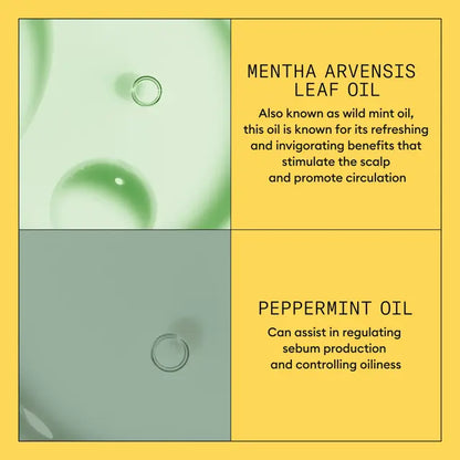 Nioxin Scalp + Hair Thickening System 1 Conditioner 300ml