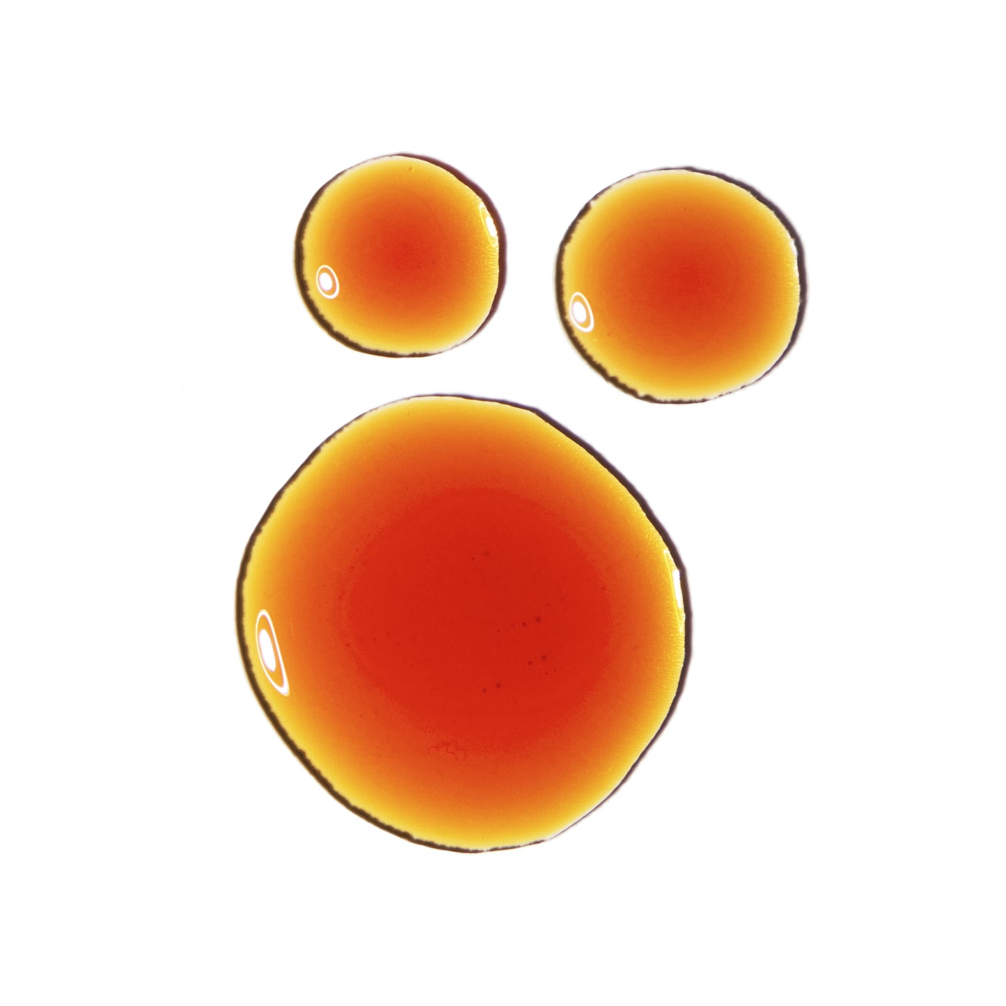 The Ordinary Pycnogenol 5% 15ml