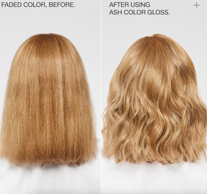 Paul Mitchell The Demi Color Gloss- Ash 177ml