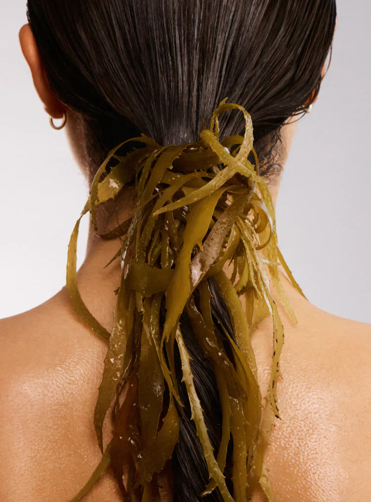 The Beauty Chef Hair Biotic 60 Capsules