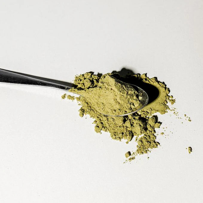 WelleCo The Super Elixir & Nourishing Protein - Vanilla