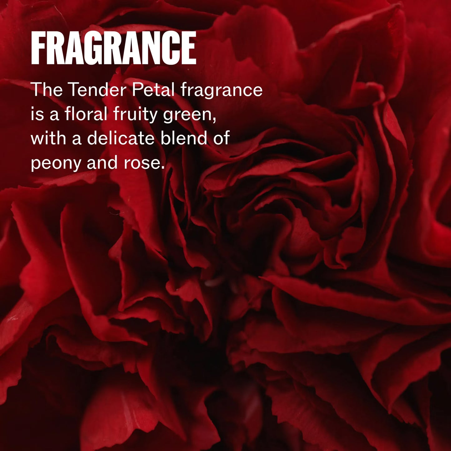 Wella Professionals Care Ultimate Repair Protect Leave-in Cream 95ml