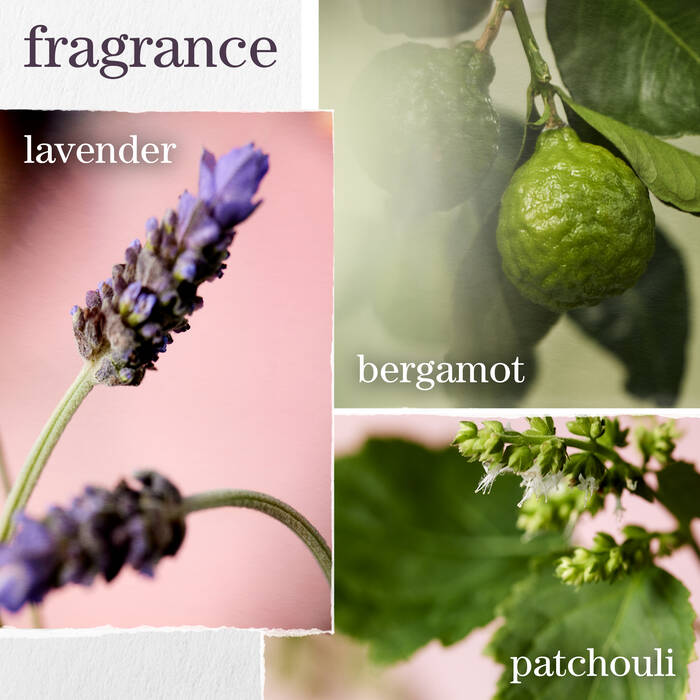 Pureology Pureology Hydrate Glow Catcher Oil 50ml Hair Oils & Serums