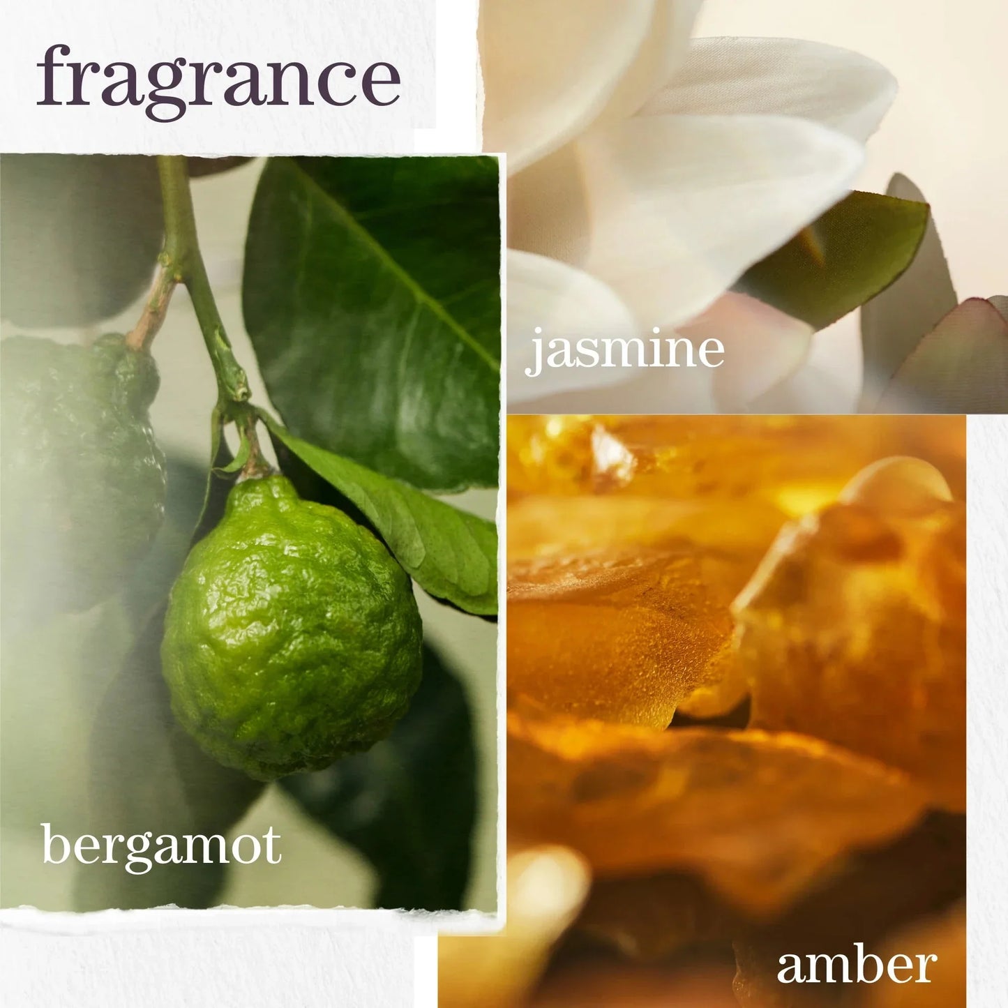 Pureology Pureology Strength Cure Dream Healer Serum 100ml Hair Oils & Serums