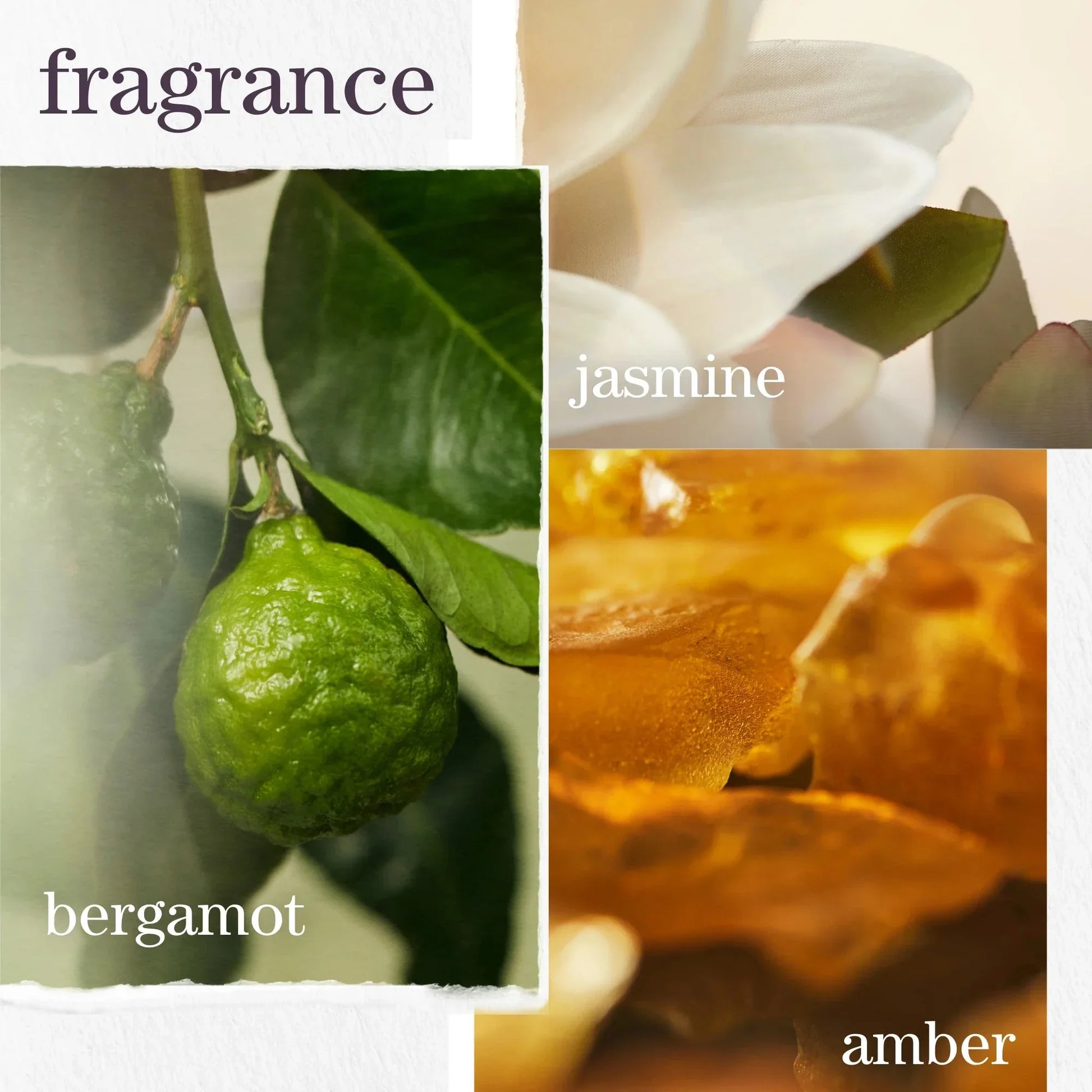 Pureology Pureology Strength Cure Dream Healer Serum 100ml Hair Oils & Serums